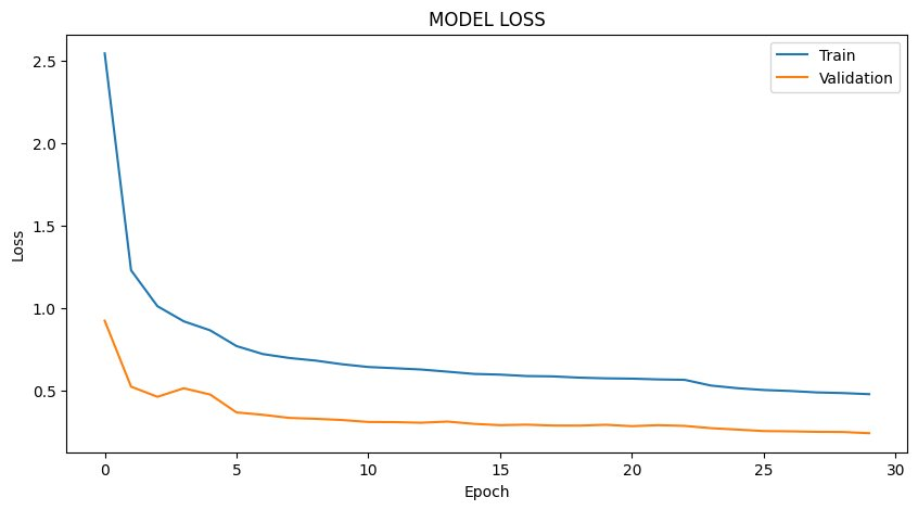 Model Loss Curve